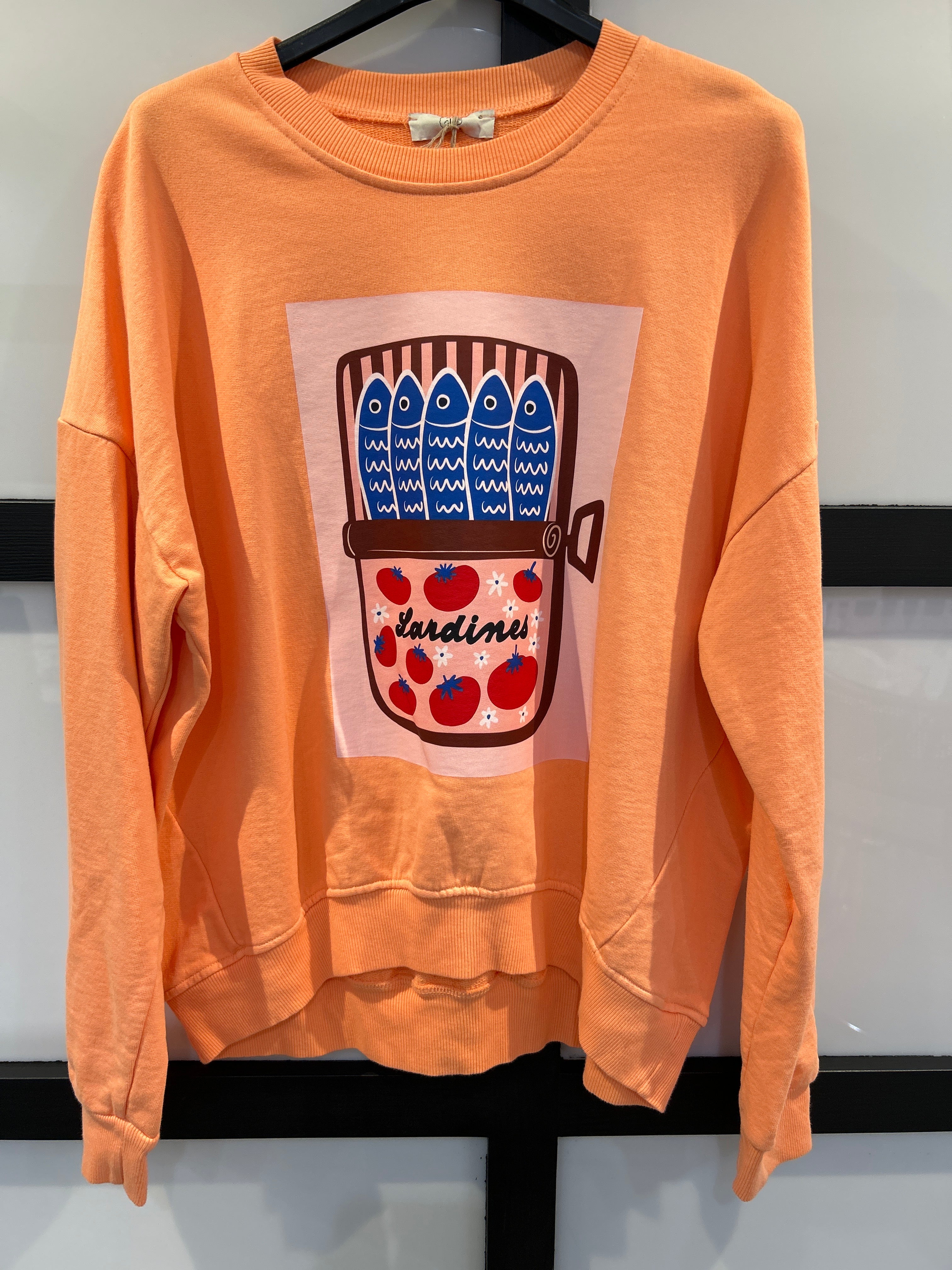 Sudadera "Sardines" (varios colores)