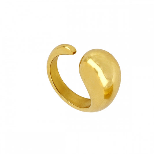 Anillo Ola